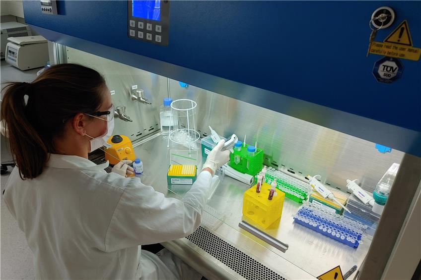 Auf der Suche nach Immunität: Zollernalb-Klinikum startet Studie mit Antikörpertests