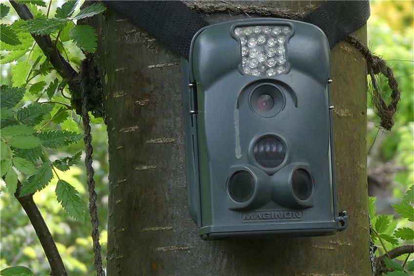 Hängen zu viele Kameras im Neufraer Wald? Eine Grauzone sorgt für Unmut