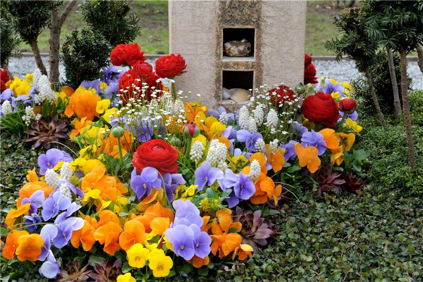 Friedhofsgärtner kümmern sich um die ersten Farbtupfer des Jahres