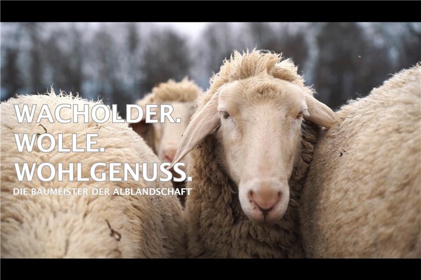 Filmprojekt über Wanderschäferei: So war die Premiere im Haus der Volkskunst in Dürrwangen