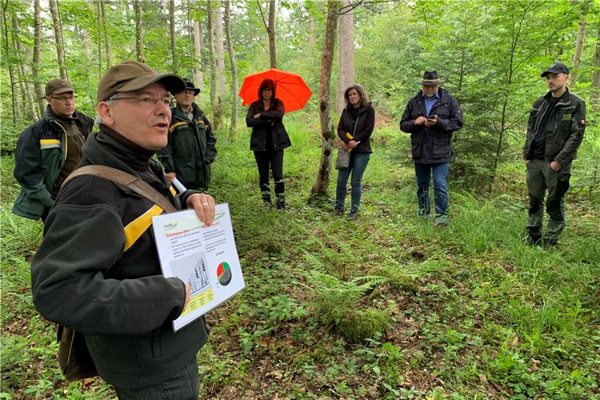 Obernheimer Gemeinderat wirft einen Blick in die Zukunft des Waldes 