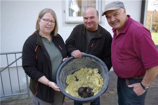 In Harthausen: Marder sorgen für nächtlichen Rabatz auf dem Dachboden