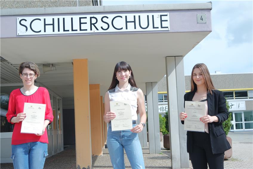 Werkrealschulpreis und zwei Anerkennungsurkunden gehen an die Schillerschule in Onstmettingen