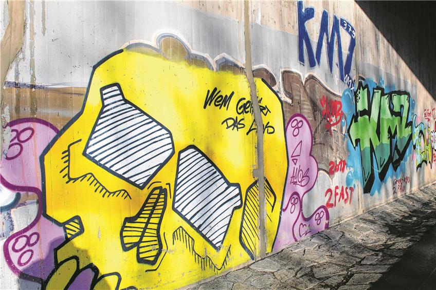 Mit seinem Premieren-Antrag: Hechinger AfD-Gemeinderat wettert gegen Graffiti in der Stadt