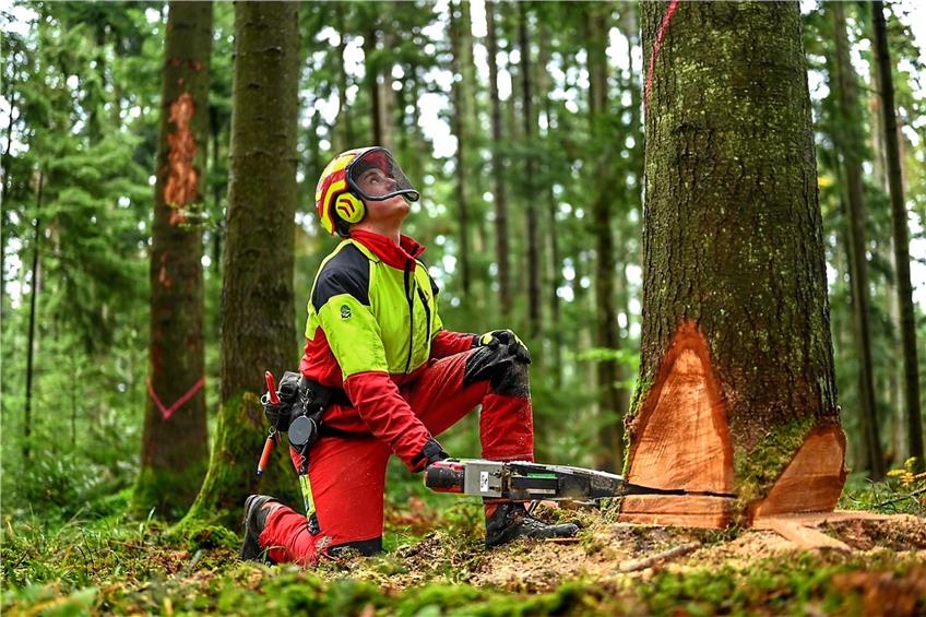 Bei Wind und Wetter: Forstwirtschaftsmeister Manuel Rasch aus Täbingen lebt für seinen Beruf
