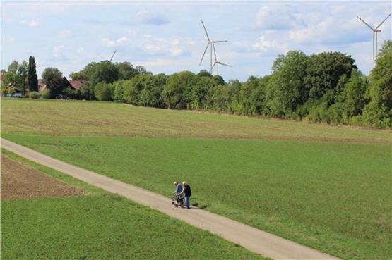 Widerstand gegen geplanten Windpark bei Brittheim: Zwei Oberndorfer sammeln Unterschriften