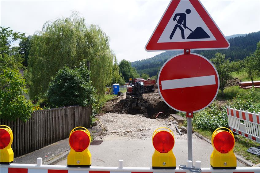 Verzögerung bei der Brückensanierung in Ratshausen: Wasseramsel bremst Bauarbeiten aus