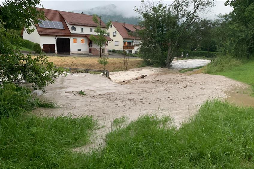 Erste Aktion gegen das Laufener Hochwasser: Verschwundene Gräben werden freigeräumt