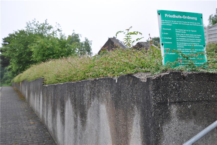 Kein Zaun, Eiben und nur zwei Eingänge: Schörzinger zurren Friedhofsneugestaltung fest