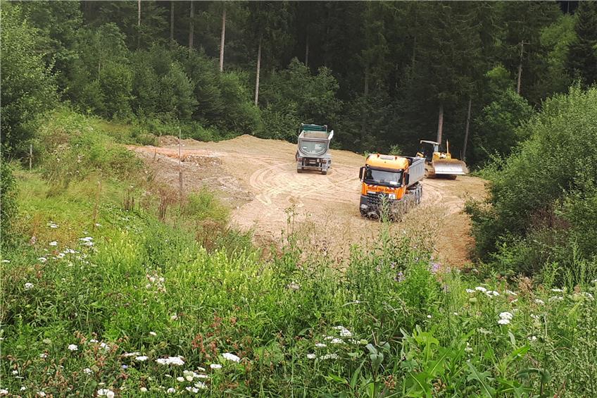 Neuer Wald und Forst-Lehrpfad: Was Obernheim mit dem Erddeponie-Areal im Eschental vor hat