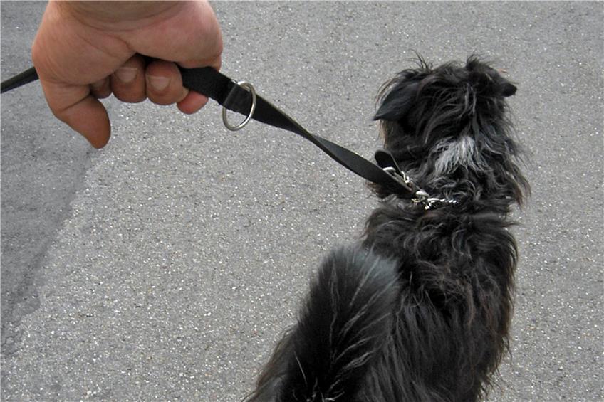 Urteil im Hechinger Hundekotbeutel-Prozess ist rechtskräftig: Hundehalter muss 600 Euro zahlen