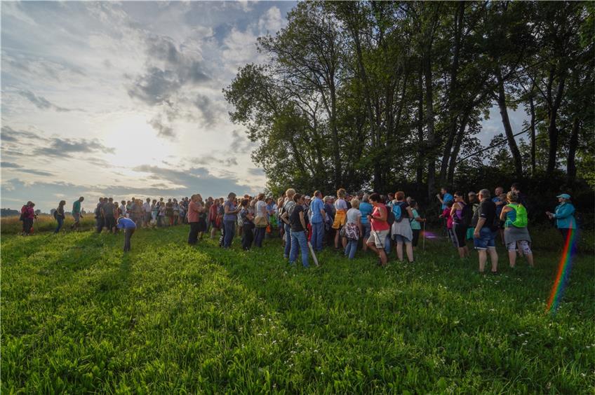 Weißklee und Waldbaden: 250 ZAK-Sommerwanderer genossen eine spannende zweite Tour