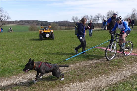 Hundesport-Meisterschaften in Bitz: Mensch und Tier bilden ein Gespann