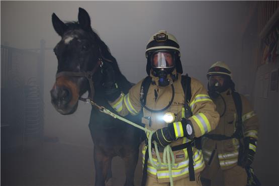 Wehrleute proben Ernstfall in Benzingen: Wie bringt man Pferde aus einem brennenden Stall?