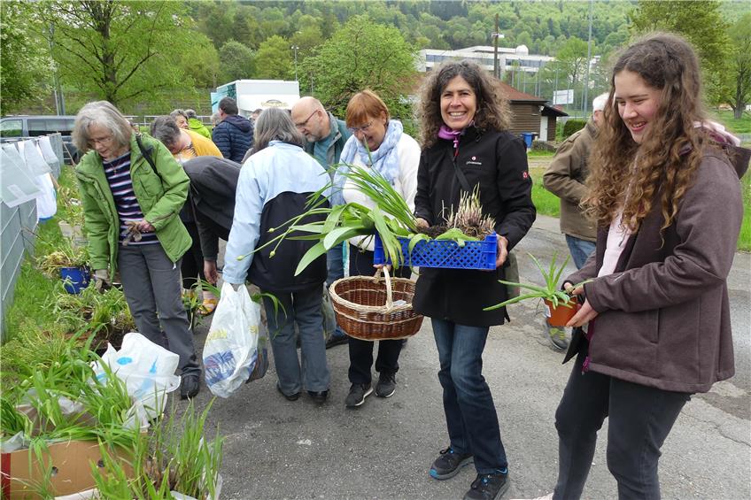 Pflanzenliebe in Albstadt: Akelei, Iris und Minze wechseln bei der Nabu-Staudenbörse die Besitzer