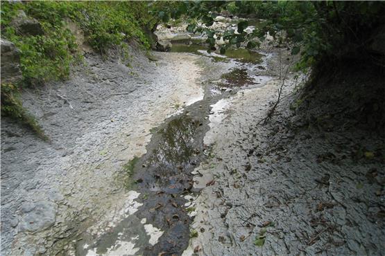 Kaum Wasser: Tiefststände in den Flüssen und Bächen des Zollernalbkreises werden zum Problem