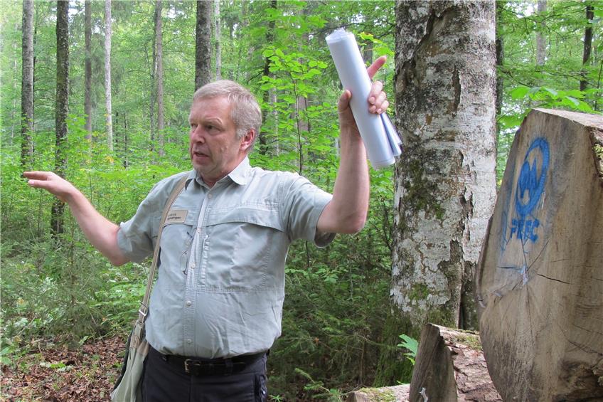 Förster atmet auf: Der Borkenkäferbefall im Schwenninger Wald ist deutlich zurück gegangen