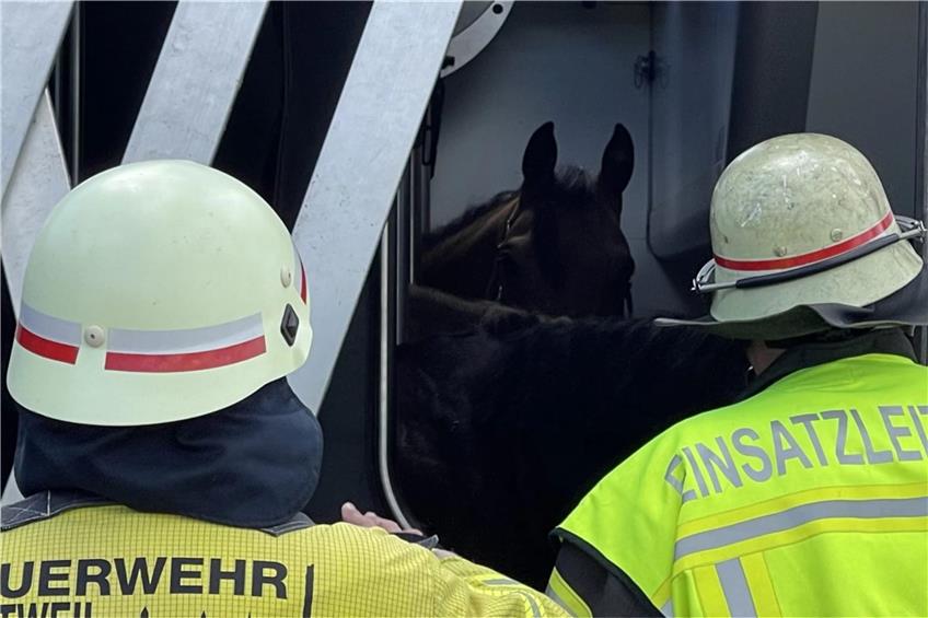 Pferdetransporter verunglückt auf B27 bei Neukirch