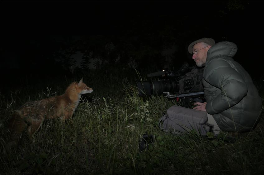 Tiere, die über Ampeln gehen: Biologin Rosie Koch aus Dürrwangen dreht Film über Berliner Füchse