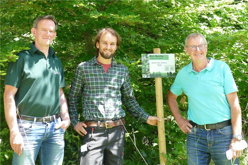 Digital und analog: Der Waldlehrpfad in Ostdorf ist für die Zukunft gerüstet