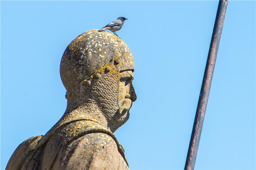Die Burg im Corona-Modus: Nur noch Vogelgezwitscher auf dem Hohenzollern