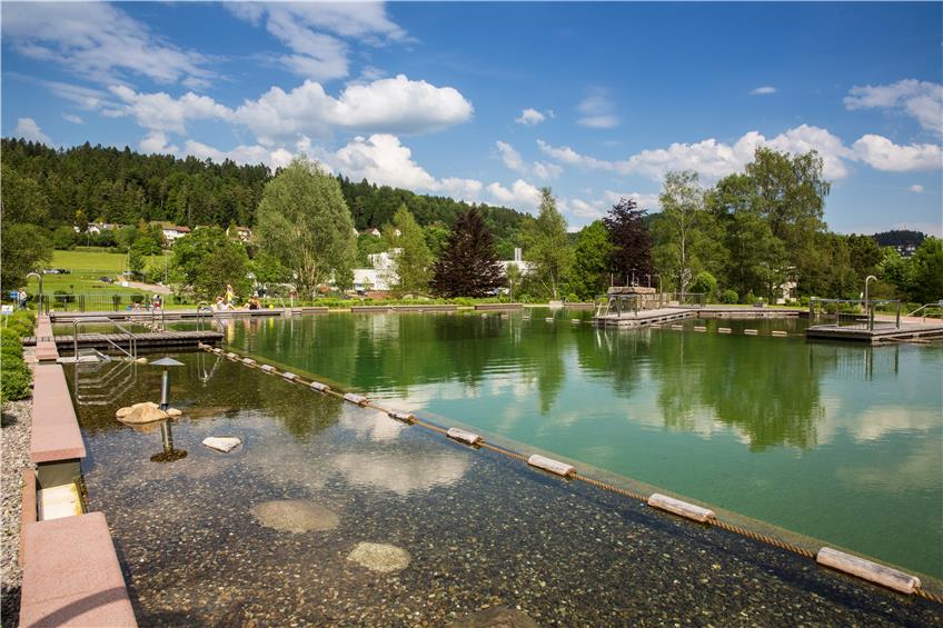 20 Jahre Badespaß am „Albsee“: Wie aus dem alten Tailfinger Freibad das Naturbad wurde