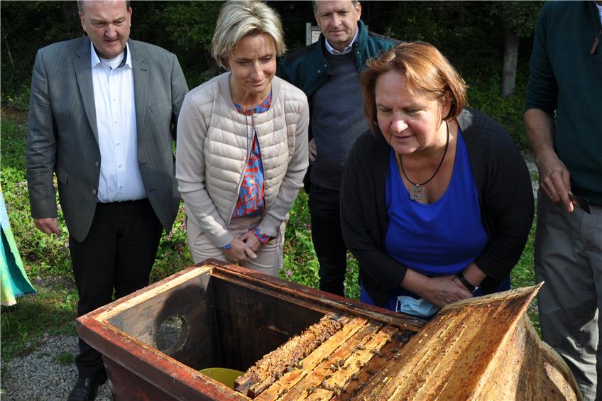 Umschwärmte Ministerinnen: Rosenfelder Mellifera-Initiative „Bienen machen Schule“ überzeugt