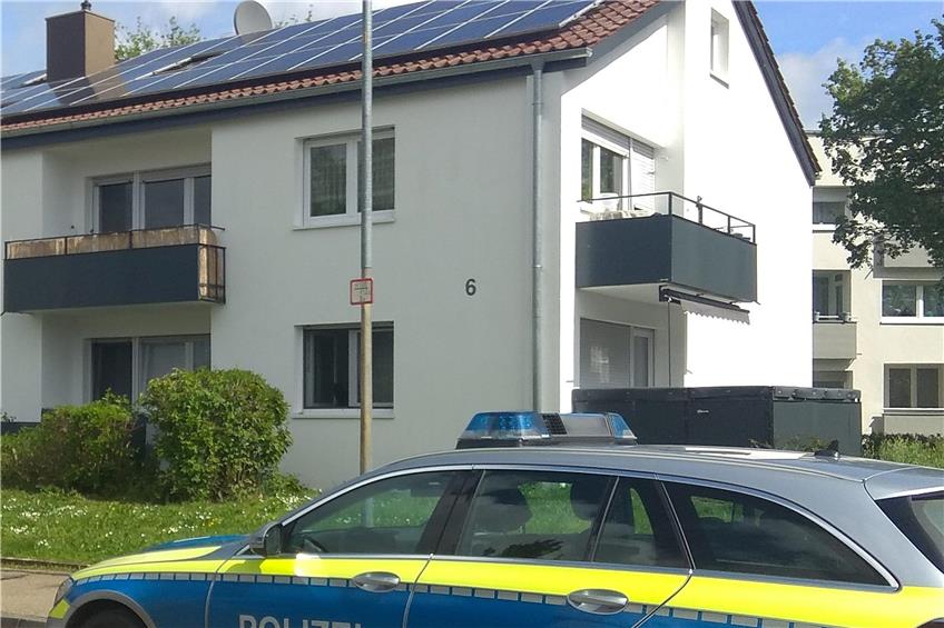 Unter Solarmodulen verfangen – Polizei und Stadttauben-Verein retten Tauben in Hechingen