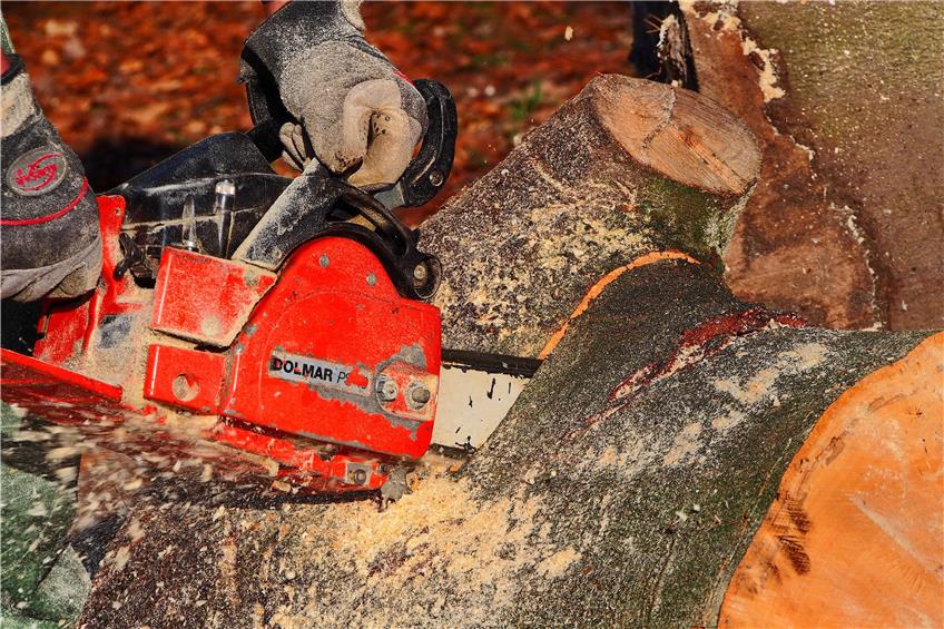 Holzfällerarbeiten am Lochenpass: Verkehr wird mit Ampeln geregelt
