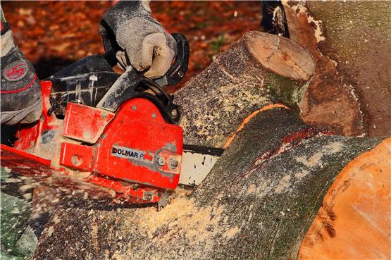 Holzfällerarbeiten am Lochenpass: Verkehr wird mit Ampeln geregelt