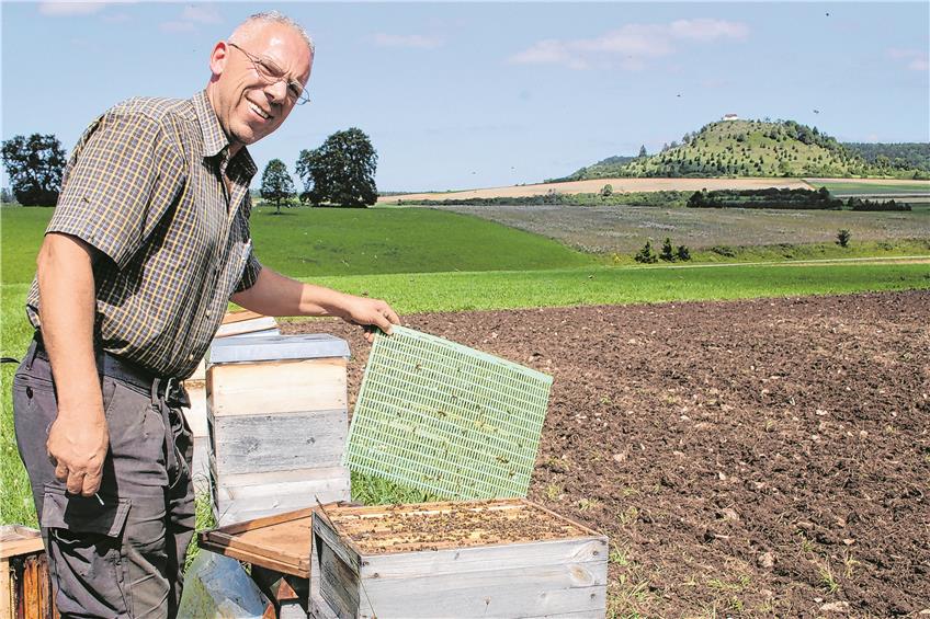 Die Imker können aufatmen: Der Bienen-Sperrbezirk bei Burladingen ist wieder aufgehoben