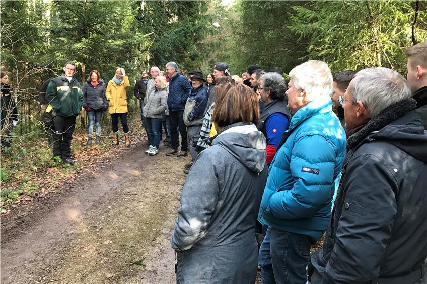 Betriebsinventur in Rosenfelds Wald: Christian Beck gewährt Einblicke in den Forst