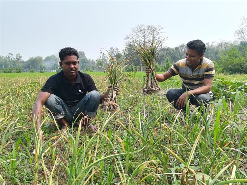 Hilfe für Bangladesch: Gemüseanbau geht auch bei Hochwasser